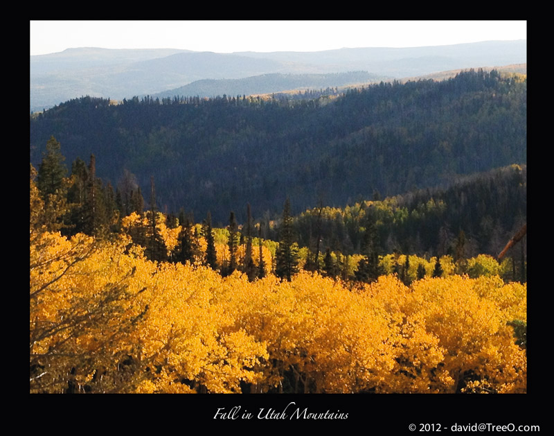 Fall in Utah Mountains