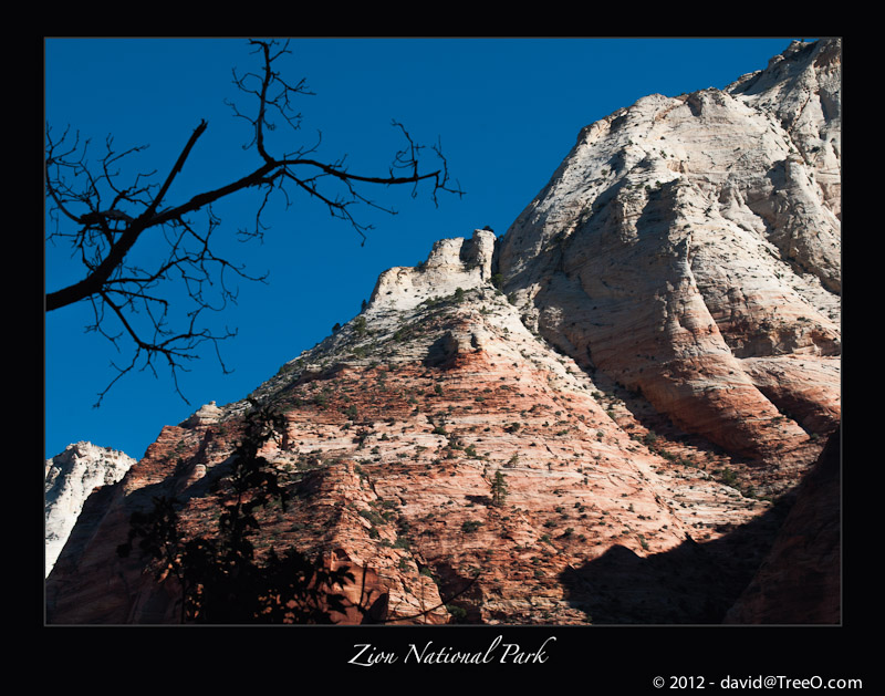 Zion National Park