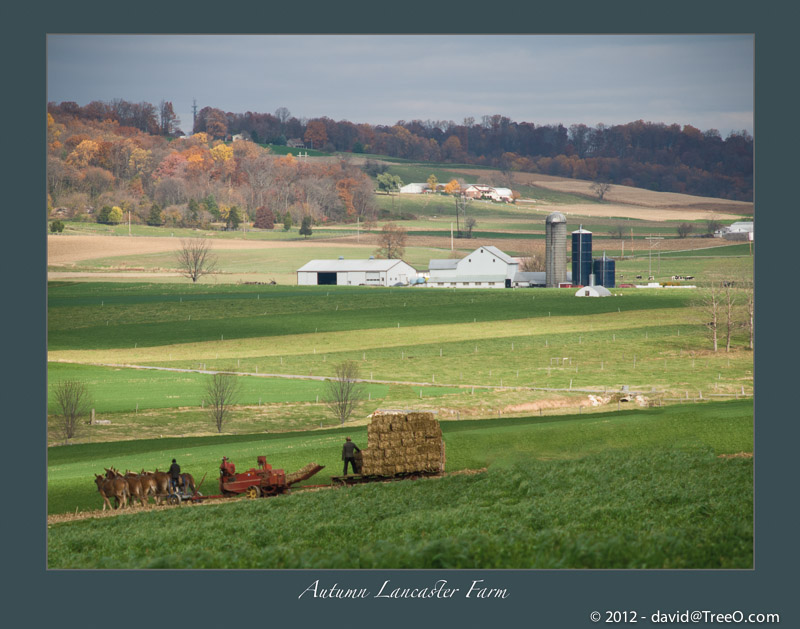 Autumn Lancaster Farm