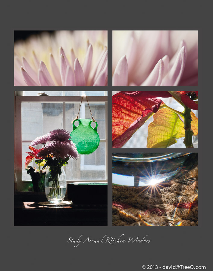 Study Around Kitchen Window