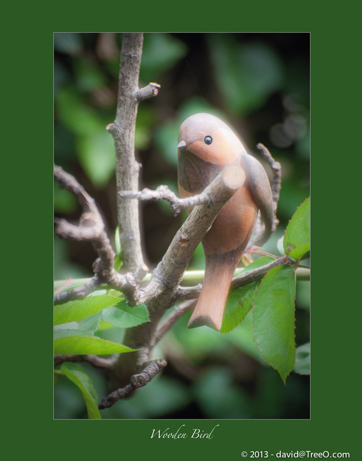 Wooden Bird