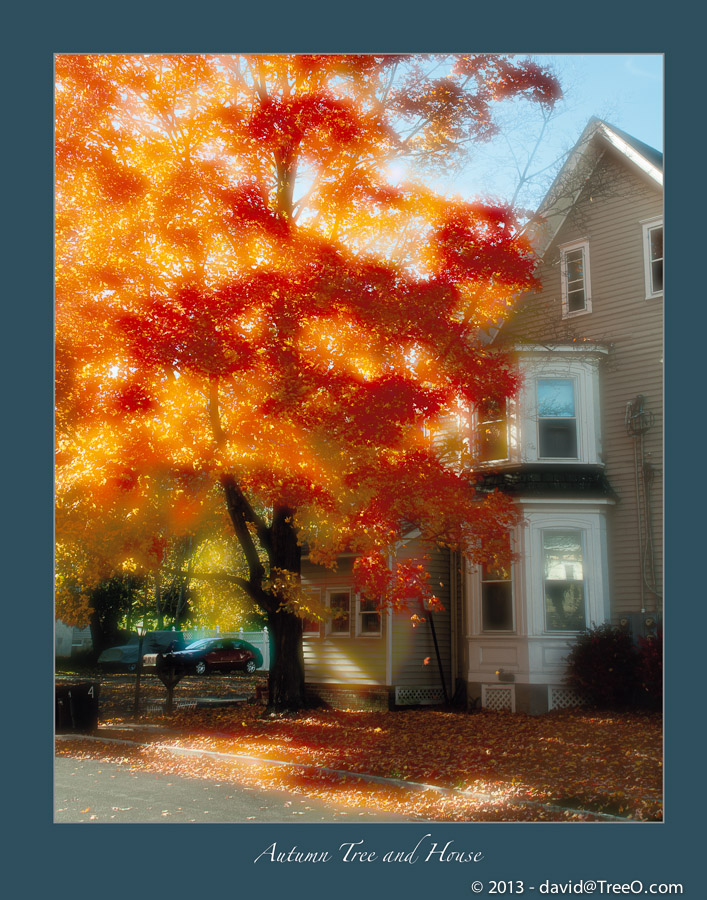 Autumn Tree and House