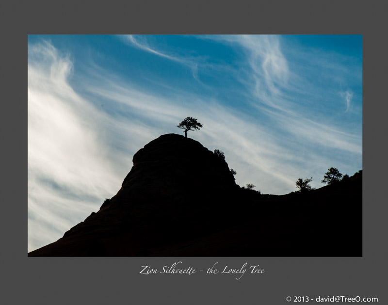 Zion Silhouette – the Lonely Tree