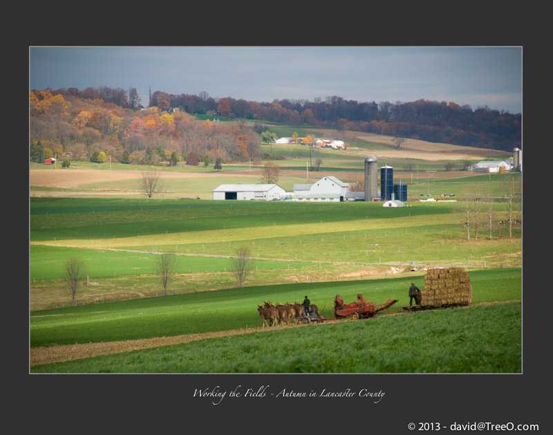 Working the Fields – Autumn in Lancaster County