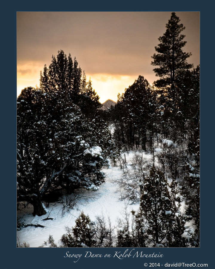 Snowy Dawn on Kolob Mountain