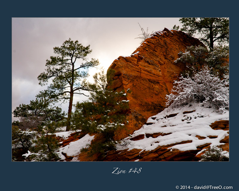 Zion Red Rock and Snow