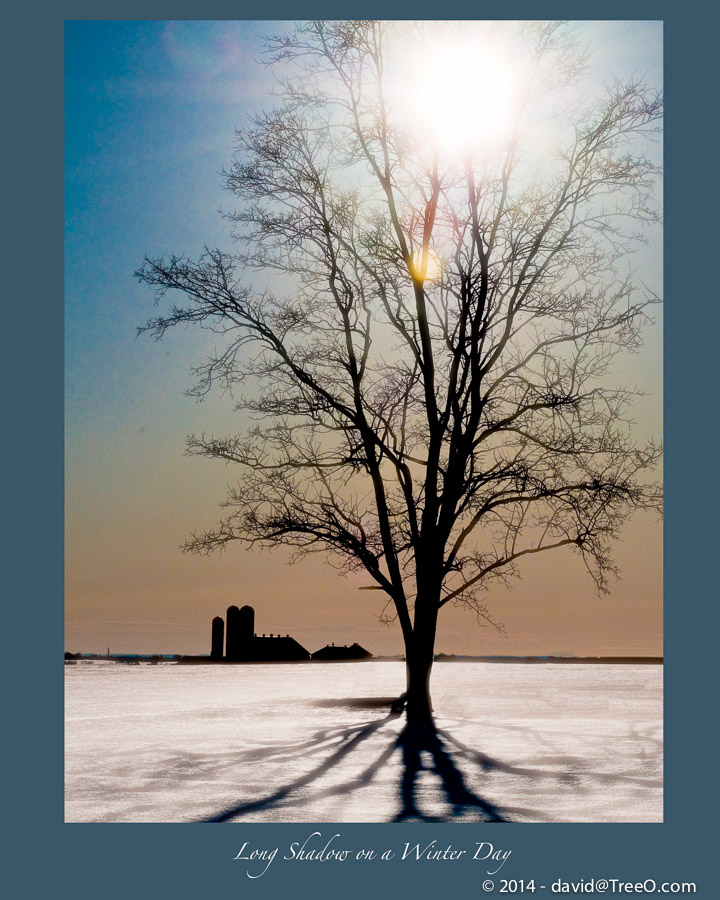 Long Shadow on a Winter Day