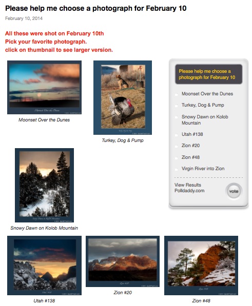 Please help me choose a photograph for February 10