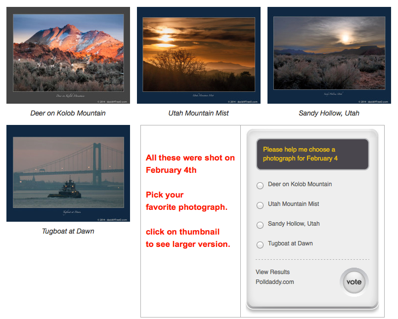 Please help me choose a photograph for February 4