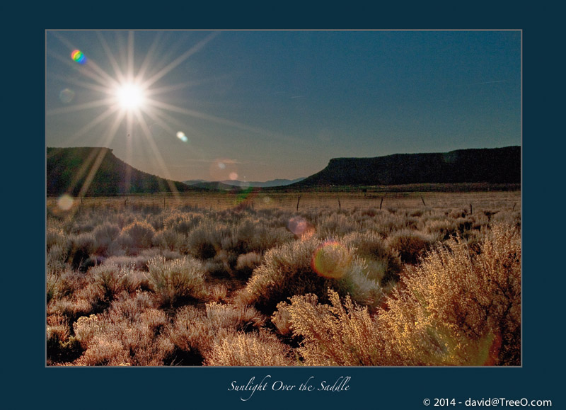 Sunlight Over the Saddle