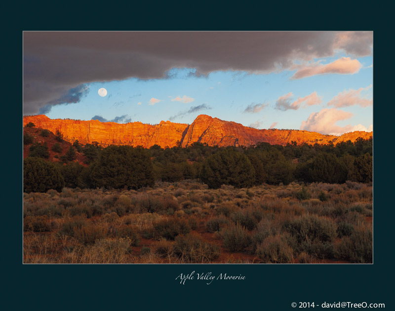 Apple Valley Moonrise