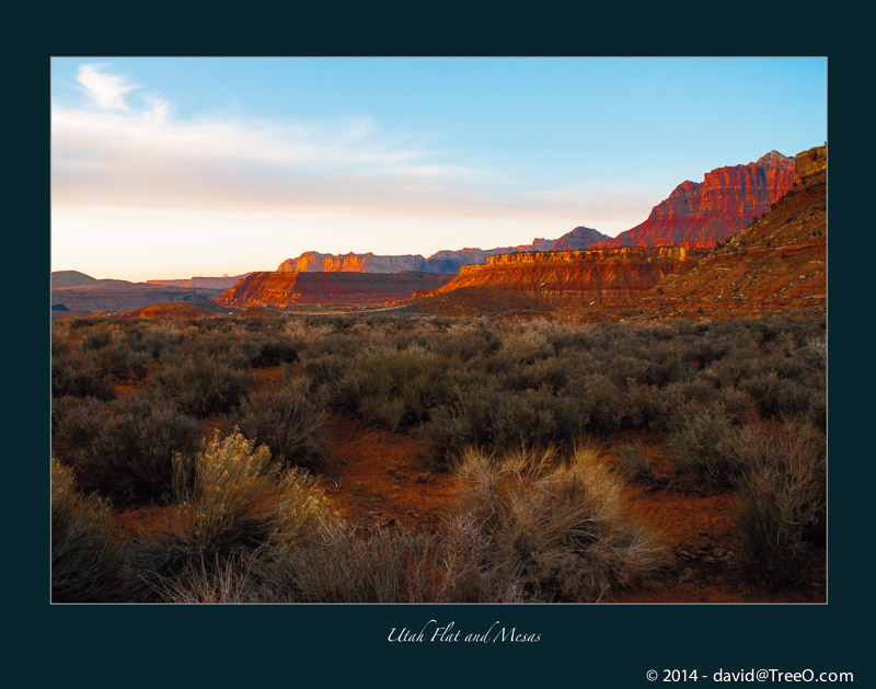 Utah Flat and Mesas