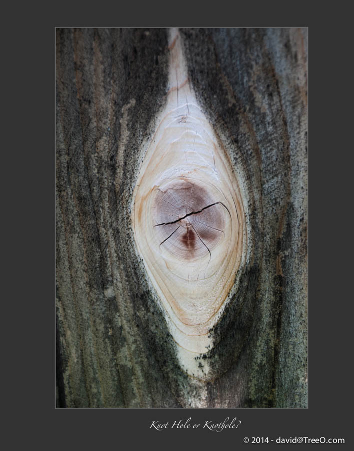 Knot Hole or Knothole?