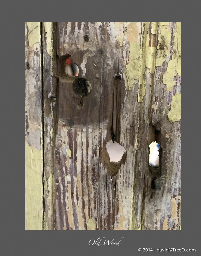 Old Wood