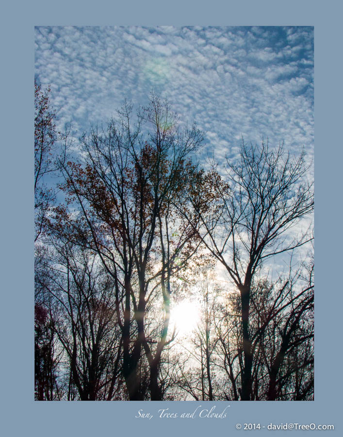 Sun, Trees and Clouds