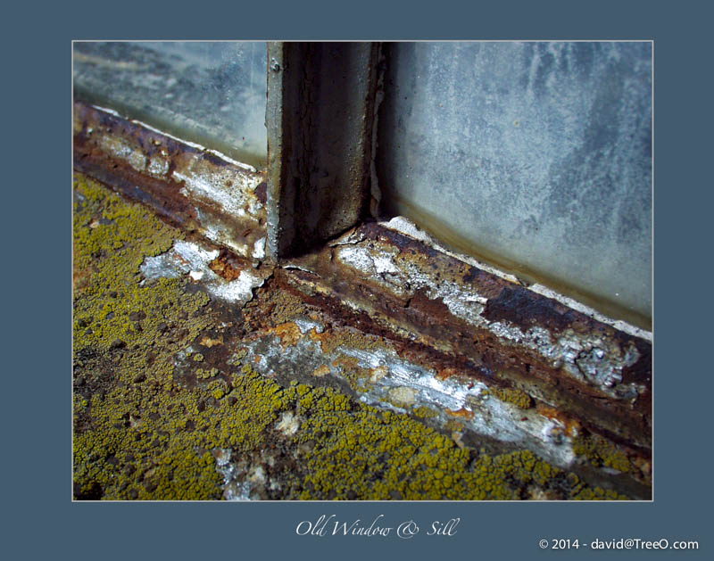 Old Window & Sill