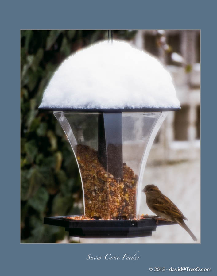 Snow Cone Feeder