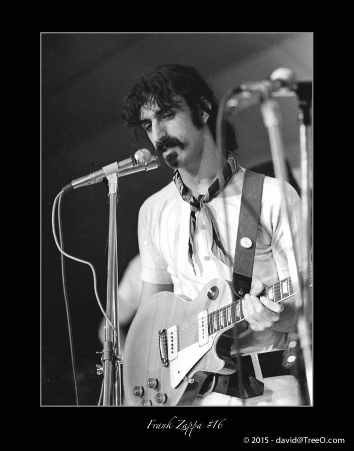 Frank Zappa #16