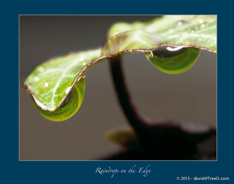 Raindrops on The Edge