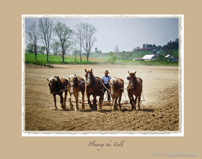 Plowing the Field