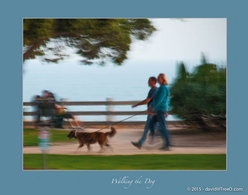 Walking the Dog