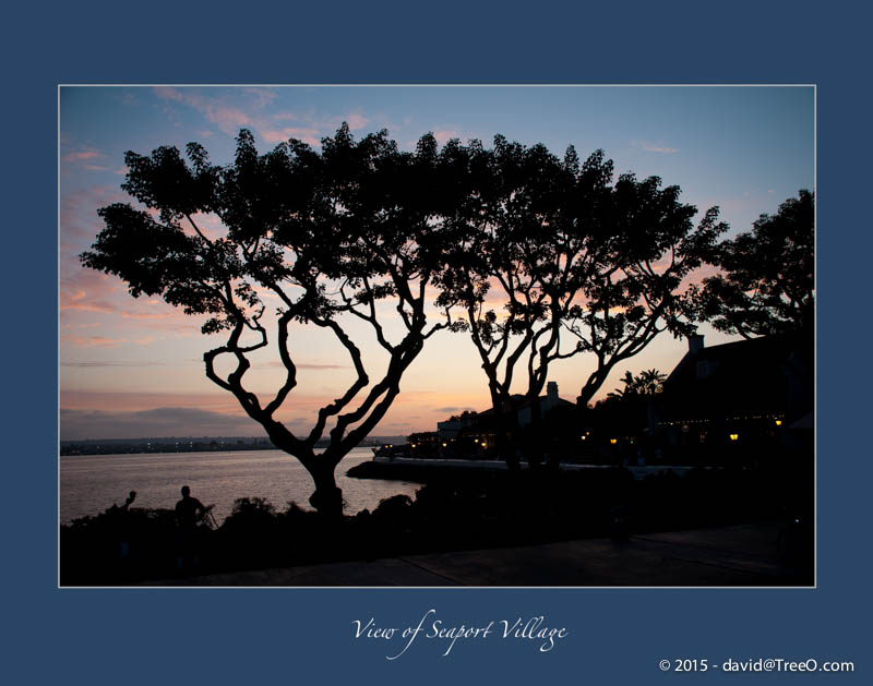 View of Seaport Village